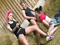 Threesome at the hayloft