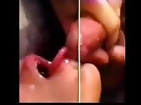 Vintage cum compilation