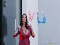 El ladrÃ³n de las bragas